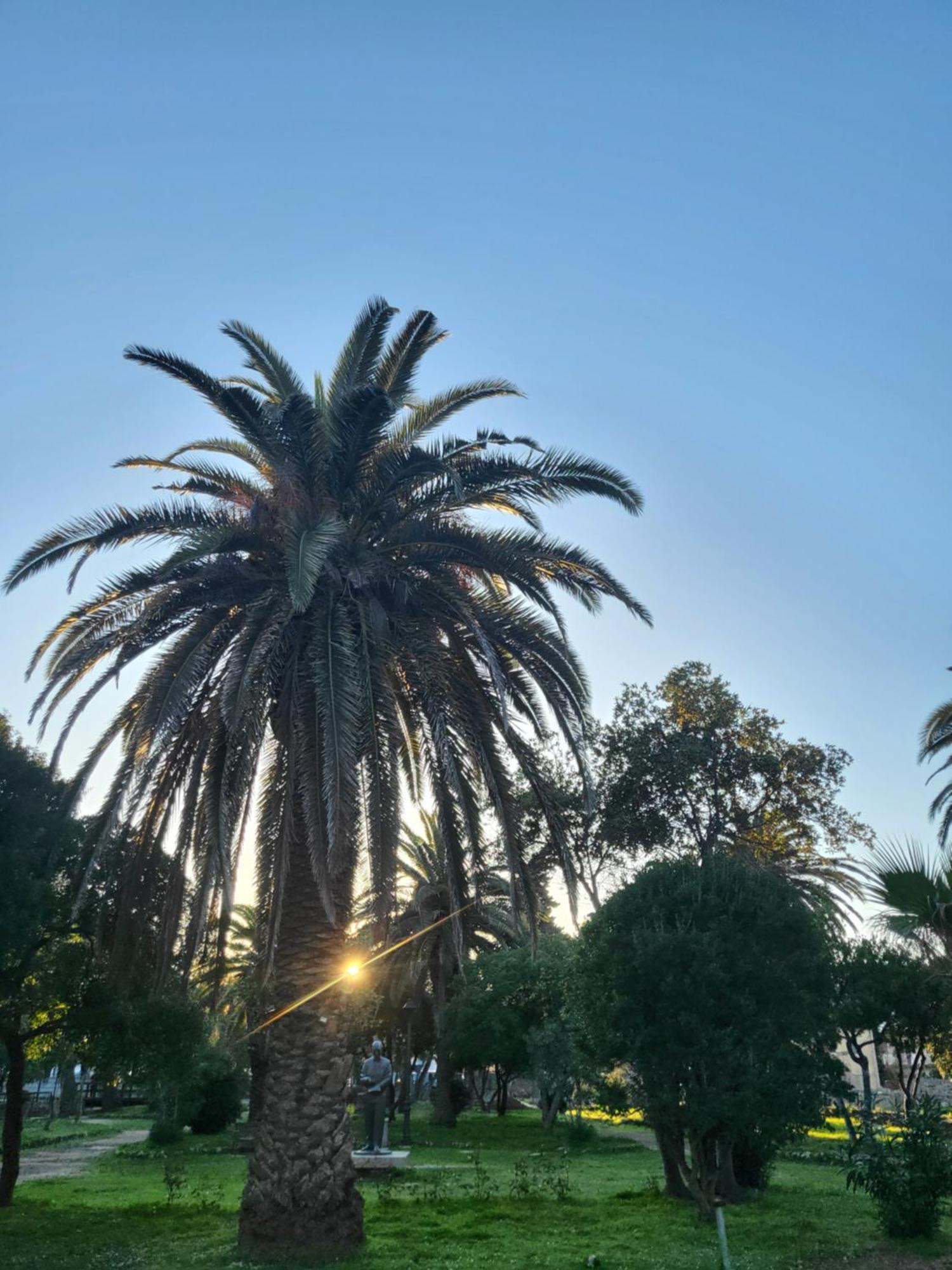 زافالا Plava Laguna المظهر الخارجي الصورة