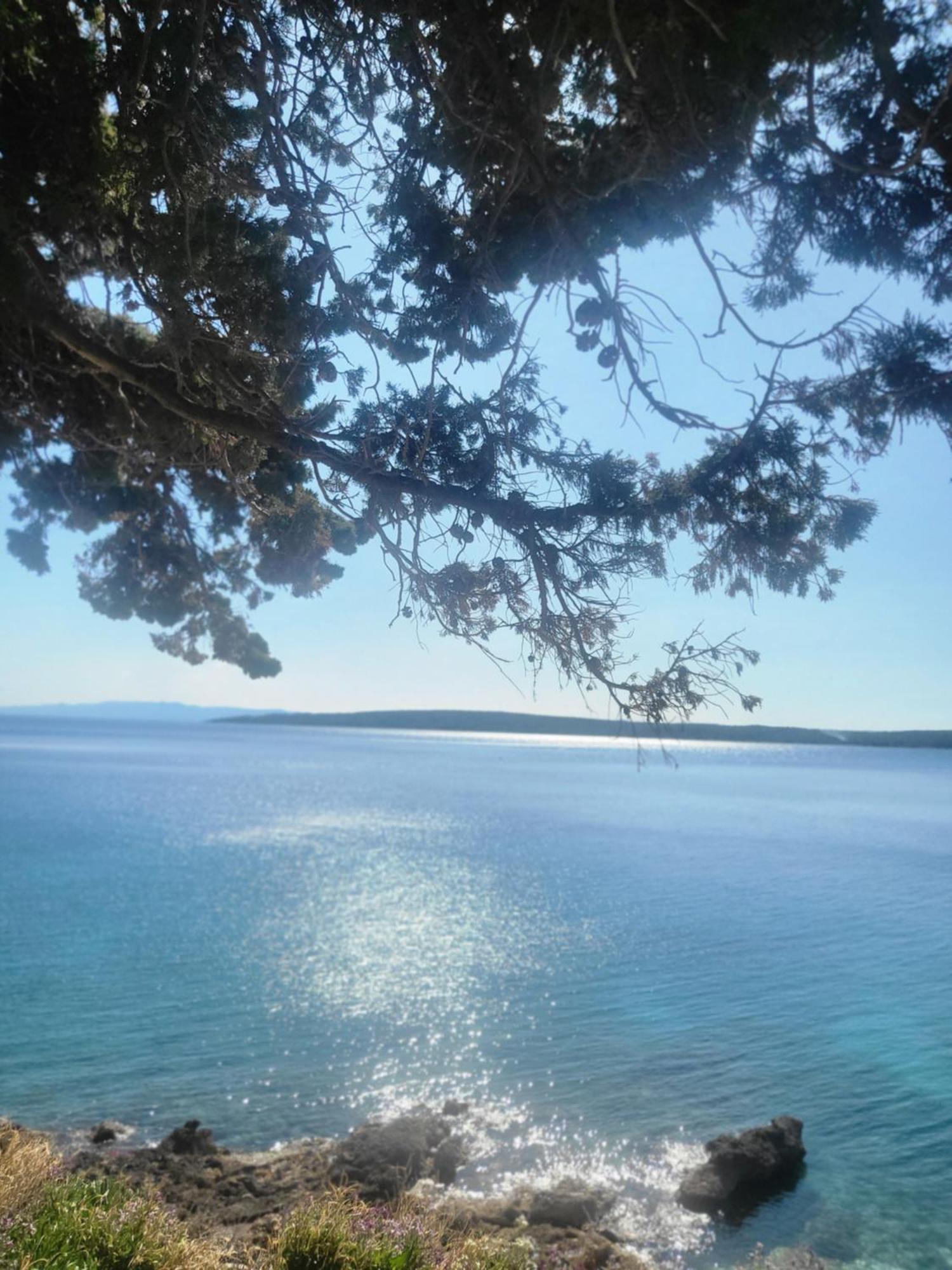 زافالا Plava Laguna المظهر الخارجي الصورة